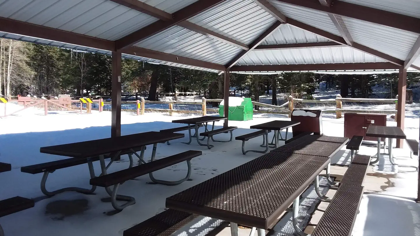 Black Bear Group Area