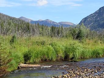 A View of Timber Creek with Mountains in the Background