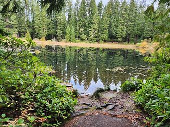 Lake in the Woods lake access