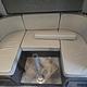 Wander in Style: Spacious Mercedes Class C 2020