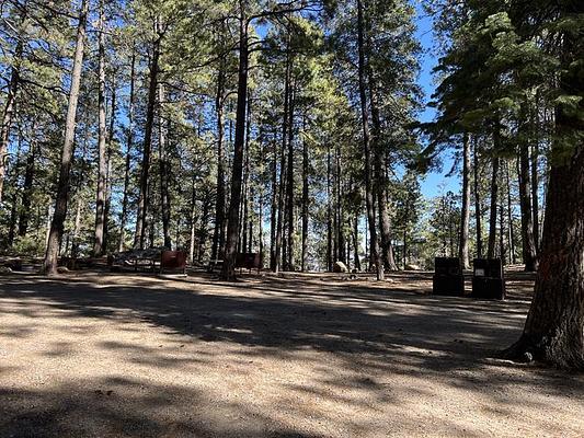 Lower Twilight Group Site, Loop: LOWER TWILIGHT GROUP SITE