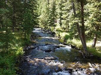 South Fork