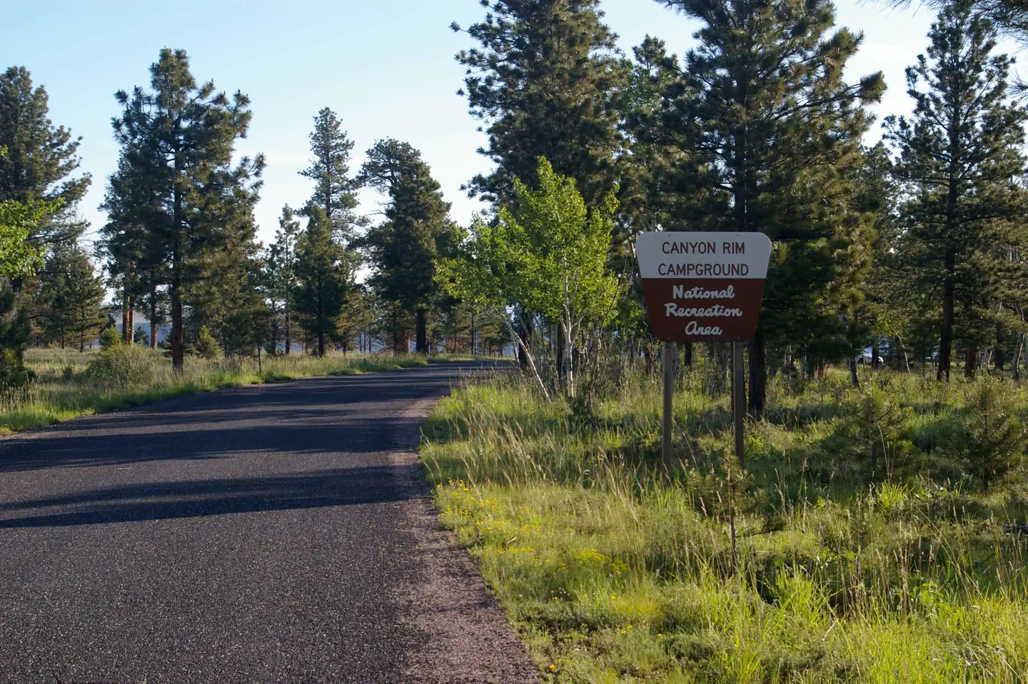 Canyon Rim