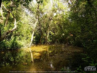 Box Elder Campground