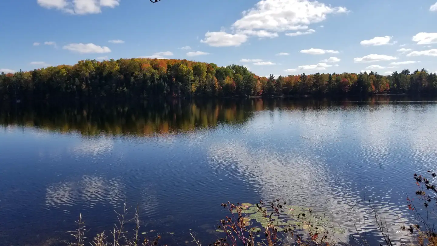 Ewing Point Campsite