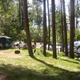 Tent camping area among trees with visible tent sites and fire rings — demonstrates tent camping options and wooded campsites (from the campground’s photo pages).
