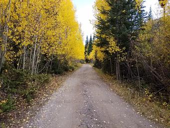 Willow Campground fall colors 2