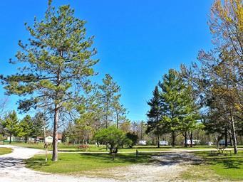 Tranquil Timbers Campground