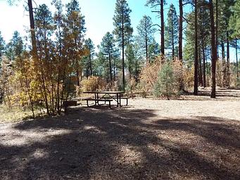 Site 4 in Lewis Canyon.