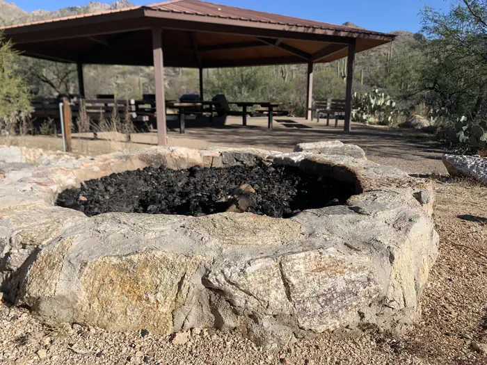 Sabino Canyon Recreation Area Cactus Ramada 1