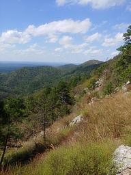 View from Tall Peak Trail