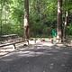 Rock Creek Campground (TN)