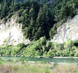 Close/medium shot of the river with the distinctive fossil/cliff face and riverside vegetation — shows on-site riverside scenery. Appears on the Home/Park Rules pages (https://www.rervpark.com/, https://www.rervpark.com/park-rules).