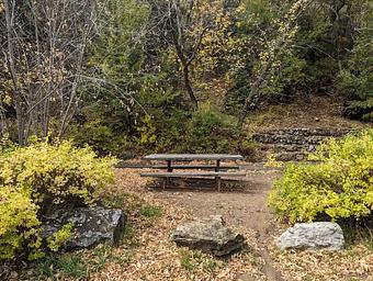 Dispersed Picnic Area