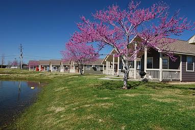 Lake Conroe / Houston North KOA Holiday