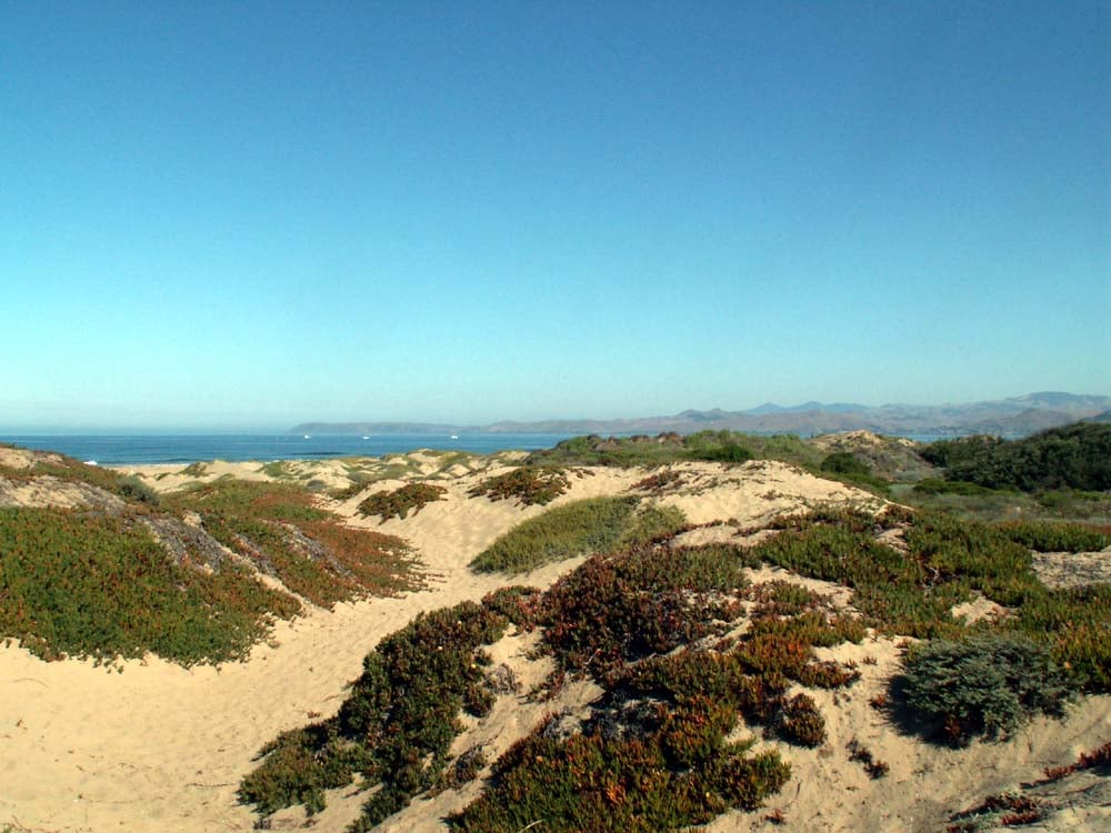 Morro Dunes RV Park