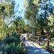 Thousand Trails Pio Pico