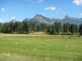 WILLIAMS CREEK CAMPGROUND