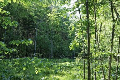 Campspot slideshow image 5