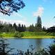 Mount Rynda Cabin scenery showing water and trees