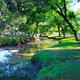 Campspot slideshow image 1