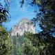 Looking up through shadowy trees at a large rocky butte jutting over a conifer covered hill.