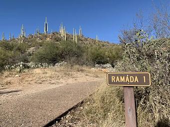 Paved path to the left of a sign saying "Ramada 1"