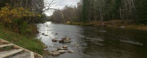 Troll Landing Campground & Canoe Livery LLC