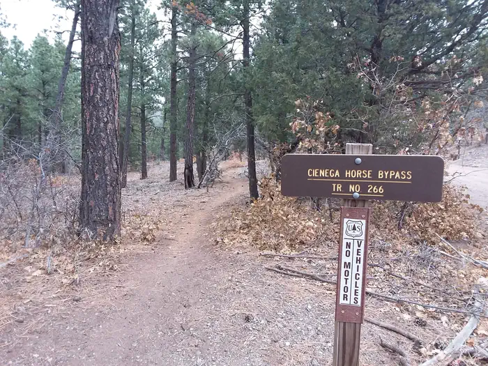 Cienega Picnic Site