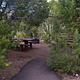 Picnic table tuck away in the middle of a group of trees. An asphalt path leads up to the area.