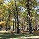 OAK GROVE PICNIC AREA