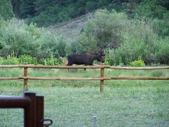 PALISADES HORSE CAMP