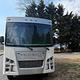 Coachman, Mirada (Sunshine)