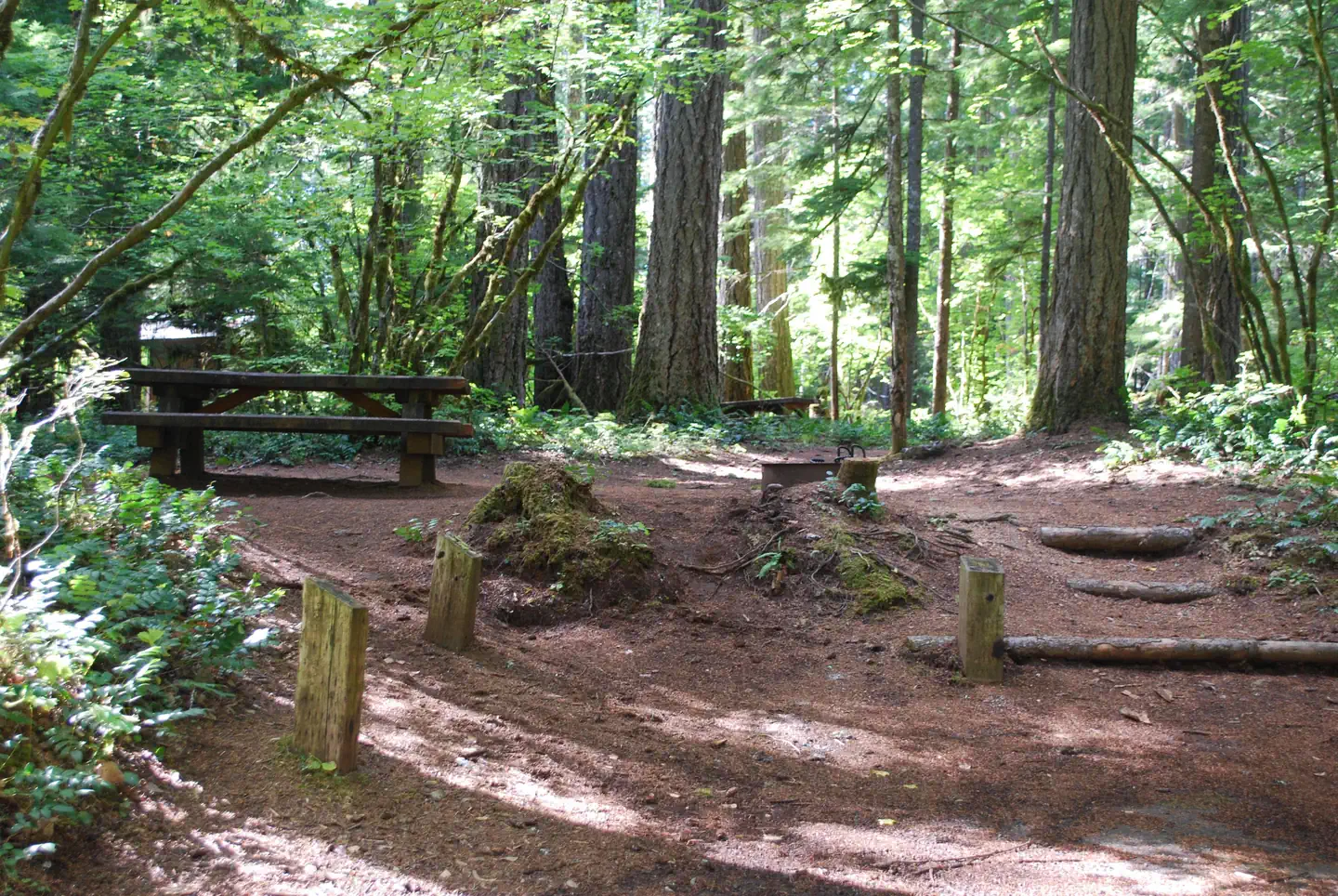Moss Creek Campground