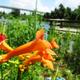 Campspot slideshow image 5