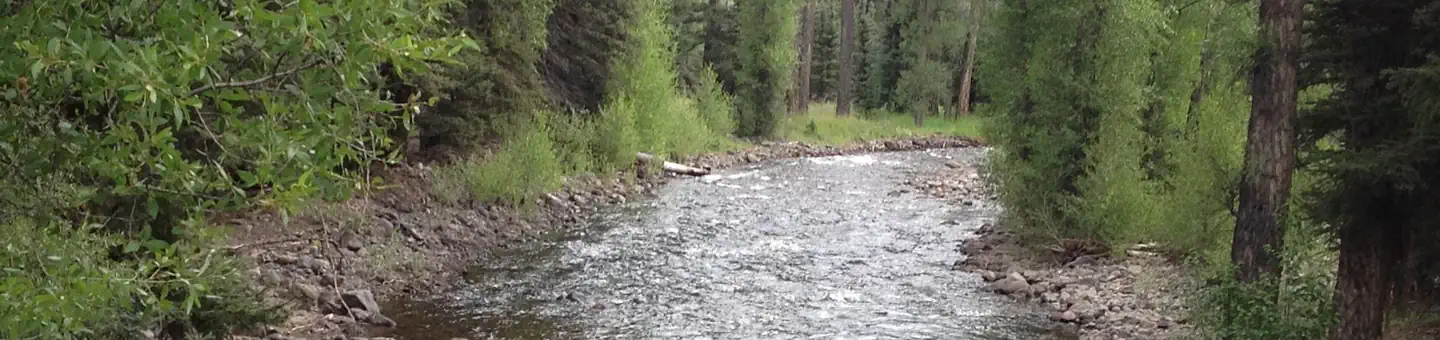 Elk Creek Campground (rio Grande Nf)