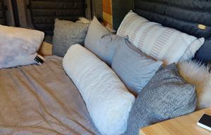 VanGO Award Winning Sprinter Conversion