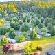 Toutle River RV Resort