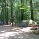 Tent Site at Tidewater Campground