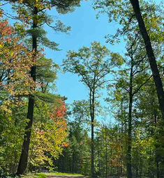 Campspot slideshow image 3