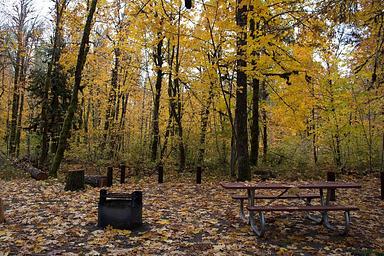 Beaver Campground