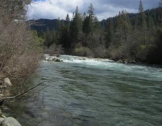 Fiddle Creek Campground View