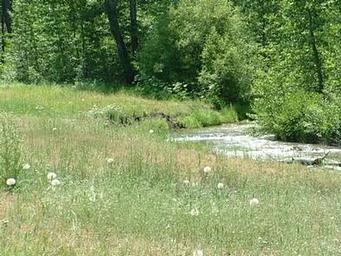 COLD CREEK
