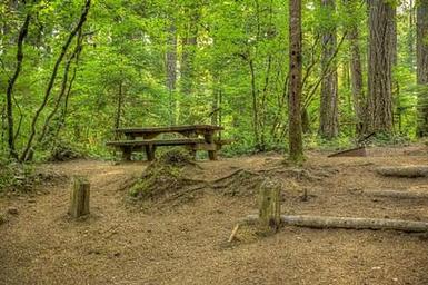 Moss Creek Campground