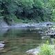Potts Creek at Steel Bridge Campground