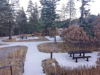 Capulin Spring Picnic Site