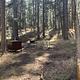Tuolumne campsite 24H