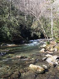 Bradley Fork flowing next to the group camp