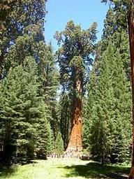 BUCKEYE FLAT CAMPGROUND