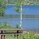 campsite overlooking the lake